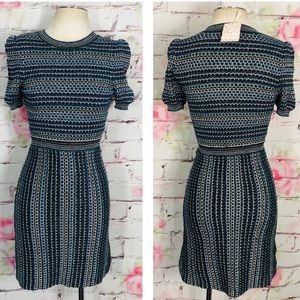 Free people short sleeve metallic sweater dress